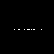 University of North Carolina Charlotte Logo